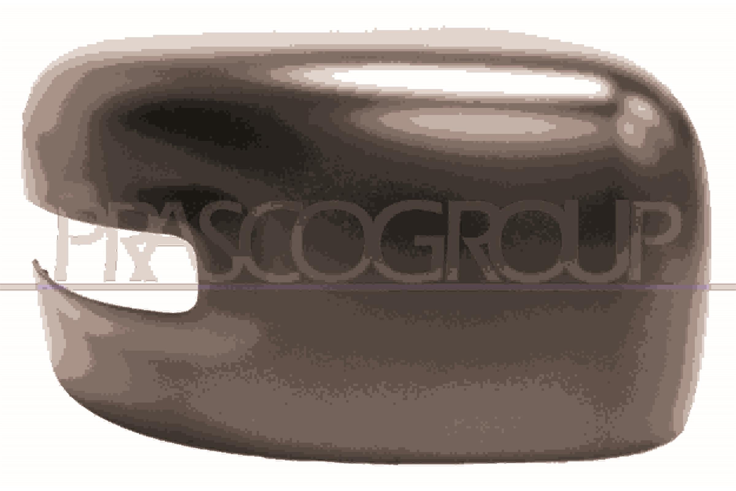 Cover, exterior mirror PRASCO JE1007403