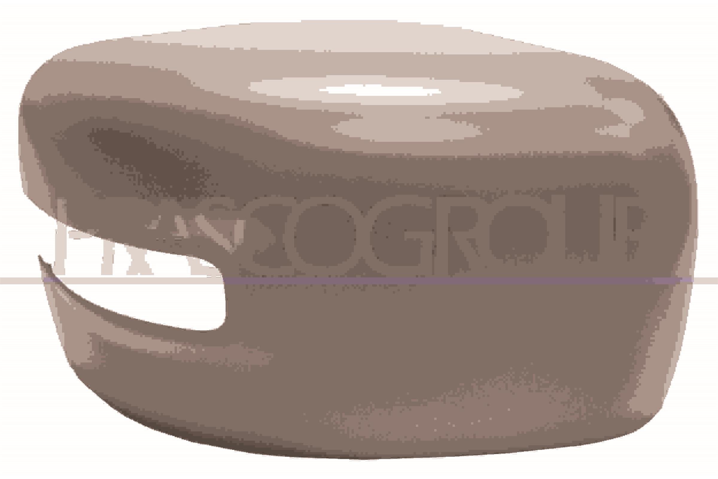 Cover, exterior mirror PRASCO JE1007413