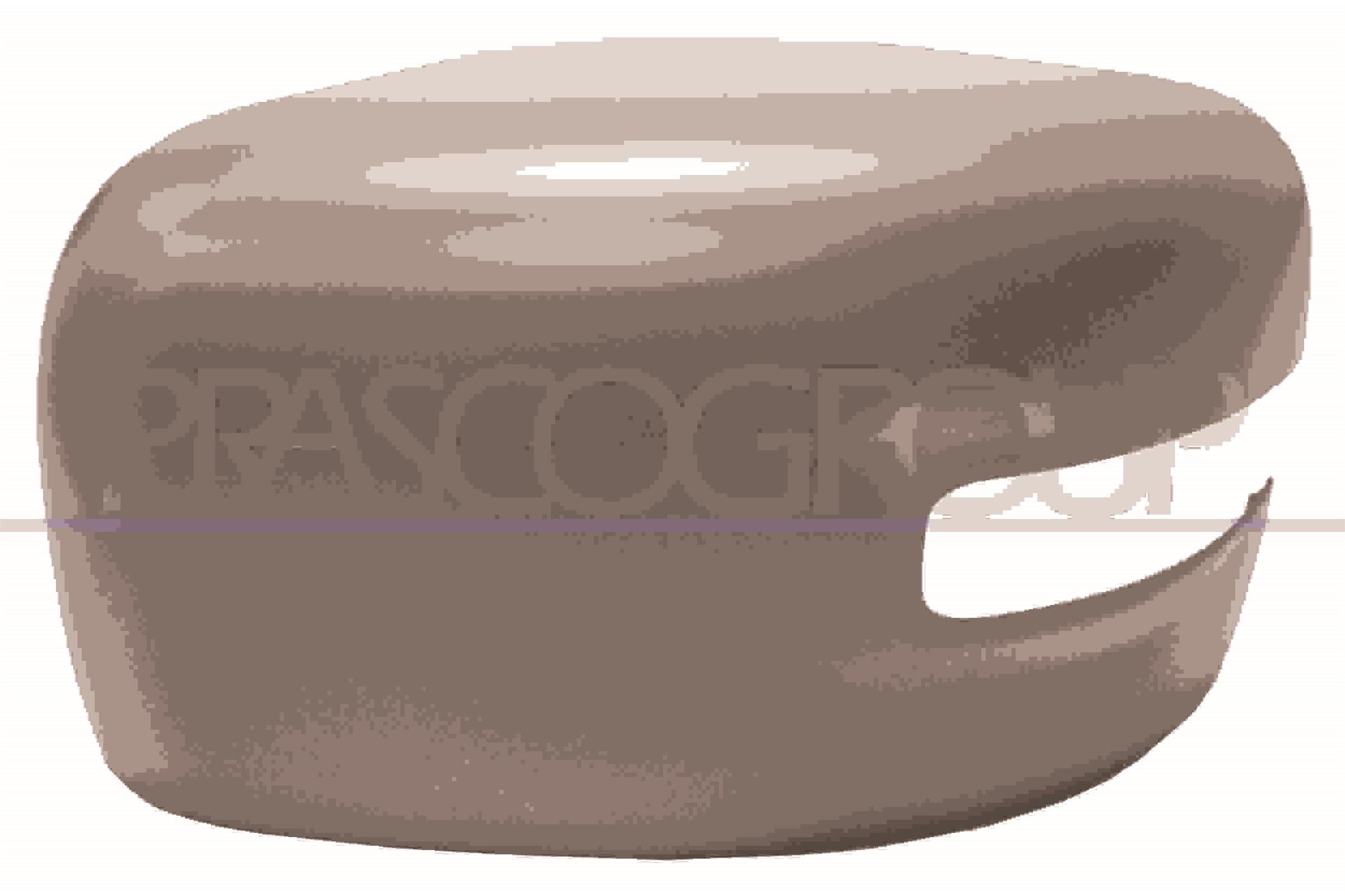 Cover, exterior mirror PRASCO JE1007414