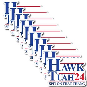 Pacote com 10 adesivos de falcão tuah cuspiu naquela coisa, adesivo de pára-choque engraçado de falcão tuah, adesivos de decalques engraçados para laptop, pára