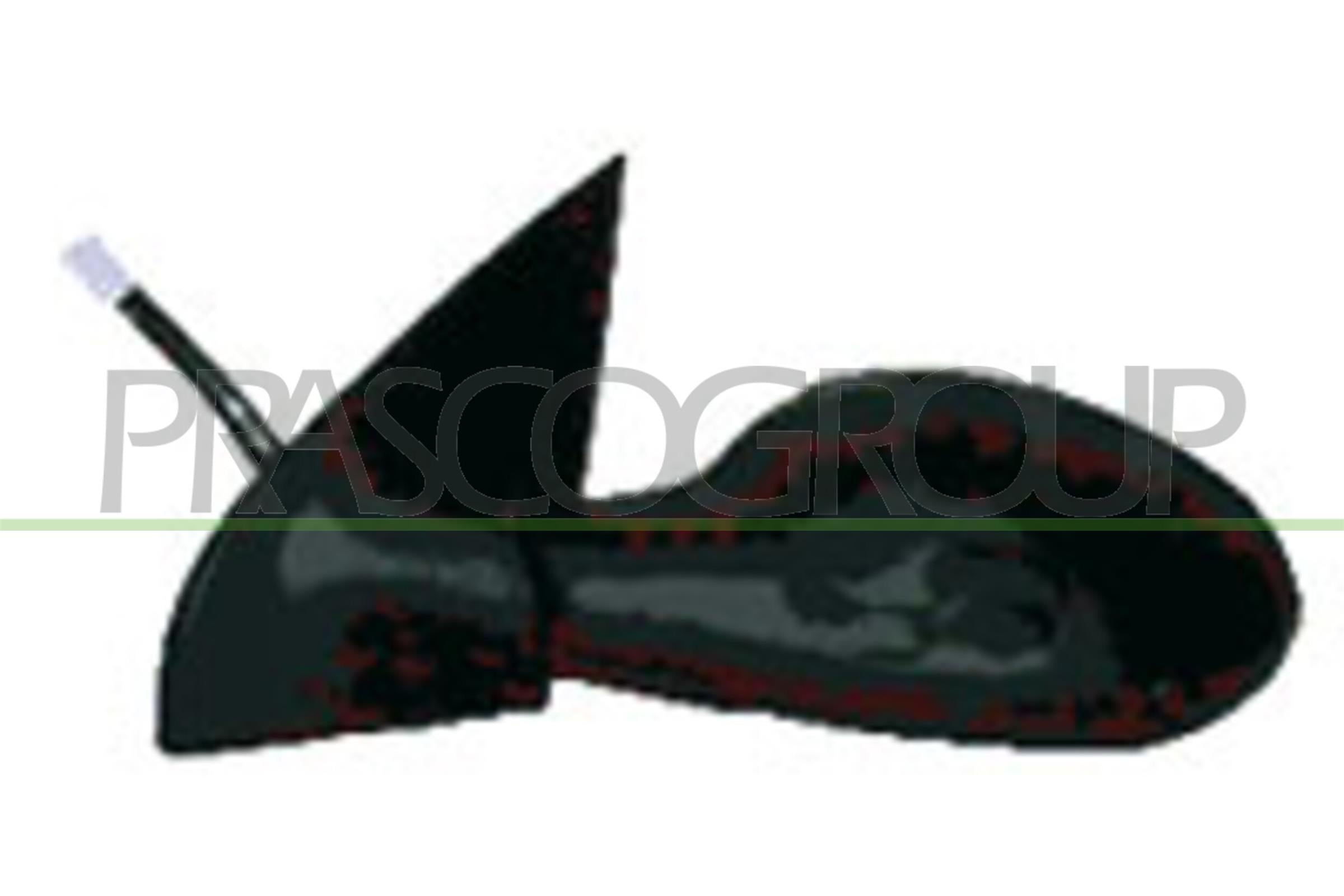 Exterior Mirror PRASCO LA0017314