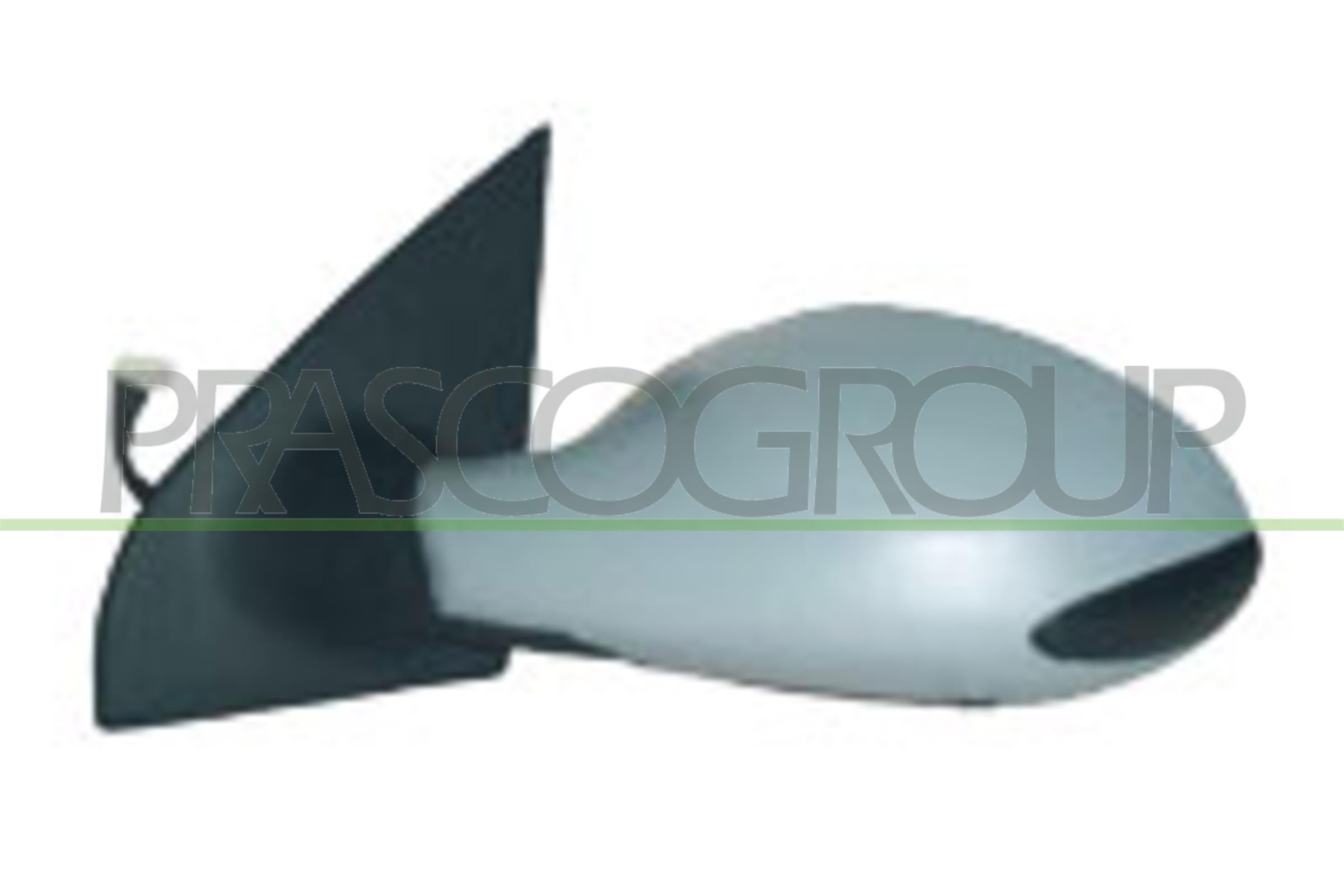 Exterior Mirror PRASCO LA0017324