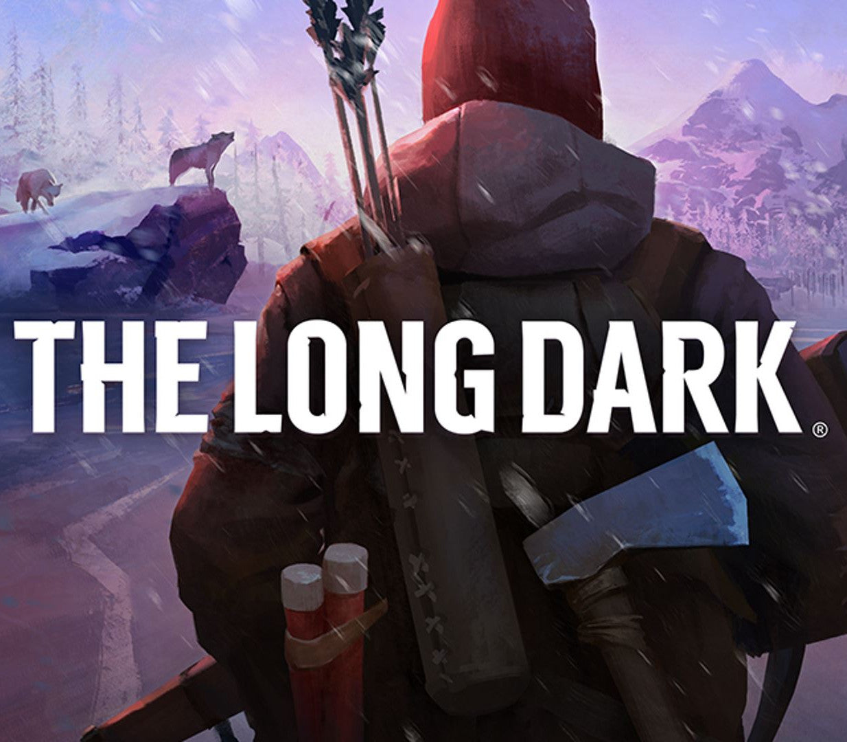 The Long Dark PC Steam Account