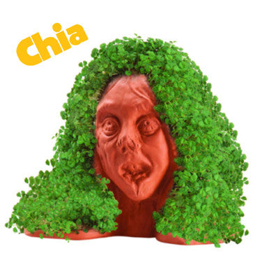Chia Zombie Lifeless Lisa Handmade Decorative Planter
