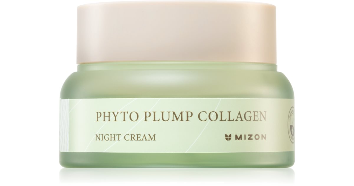Mizon Night skin cream Phyto Plump Collagen (night cream) 50 ml