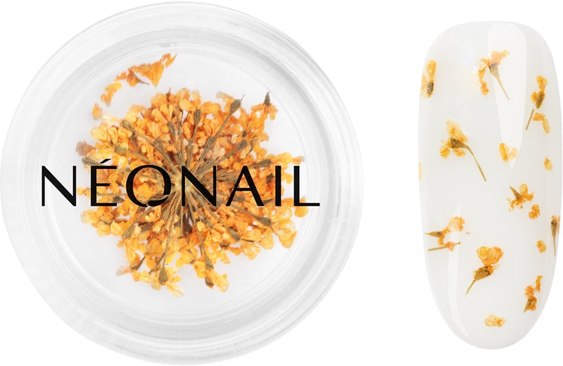 NEONAIL Torkade blommor torrblomma för naglar orange färg