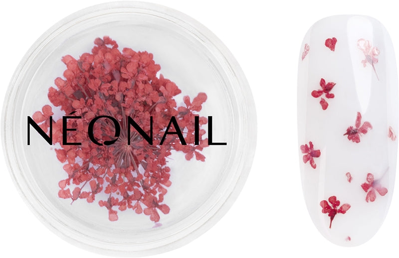 NEONAIL Torkade blommor torrblomma för naglar färg 08 Röd