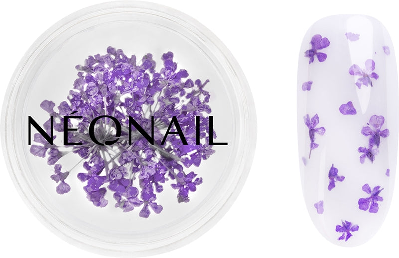 NEONAIL Torkade blommor torrblomma för naglar färg 06 Violet