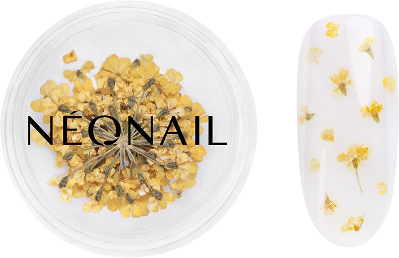 NEONAIL Torkade blommor torrblomma för naglar färg 07 Gul