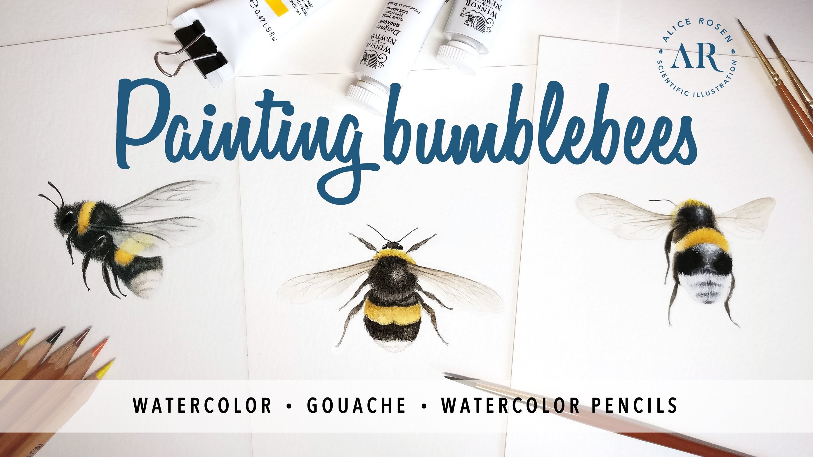 Painting Bees in Watercolor, Gouache, & Watercolor Pencils