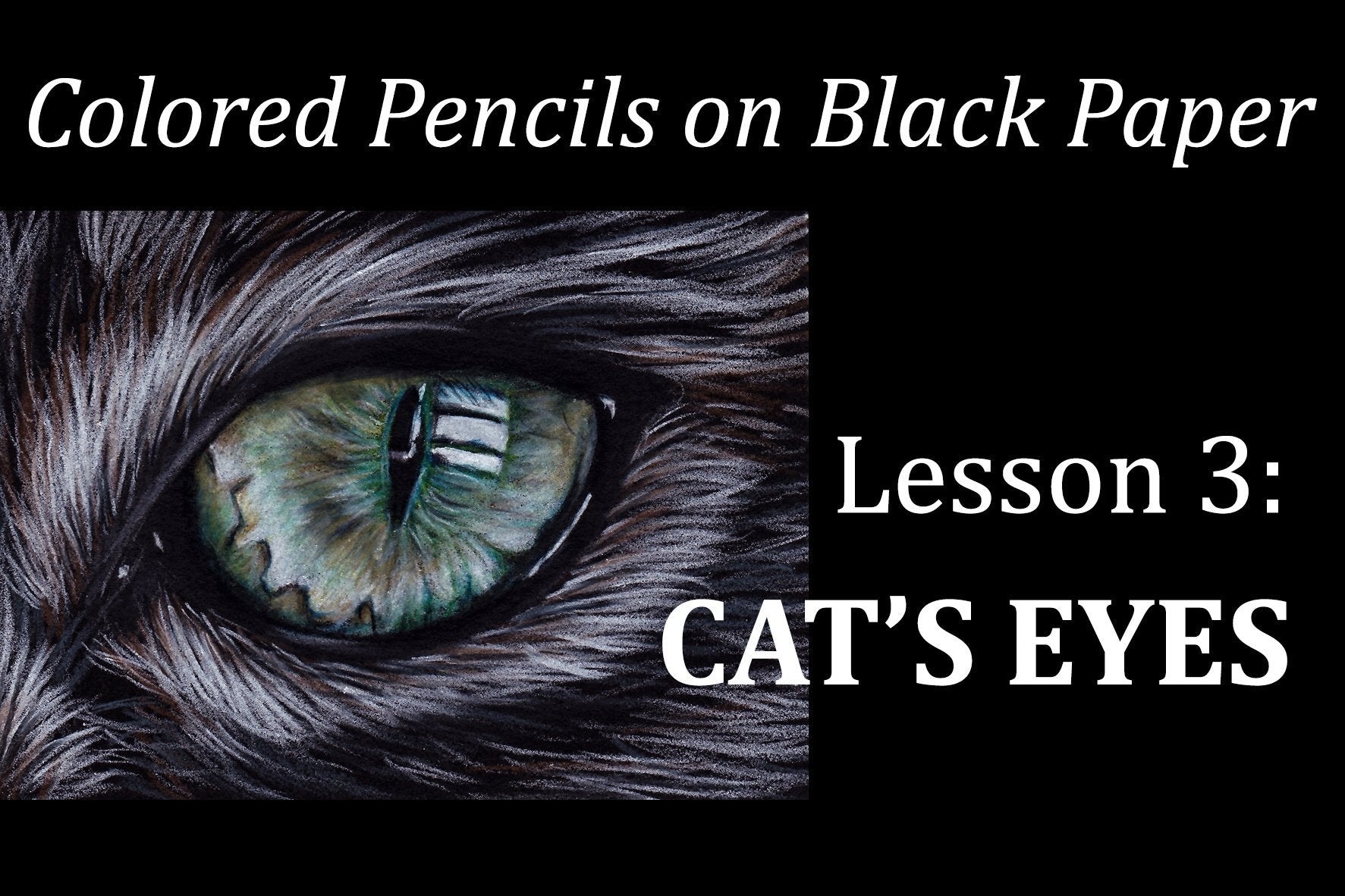 Colored Pencils on Black Paper: CATS' EYES