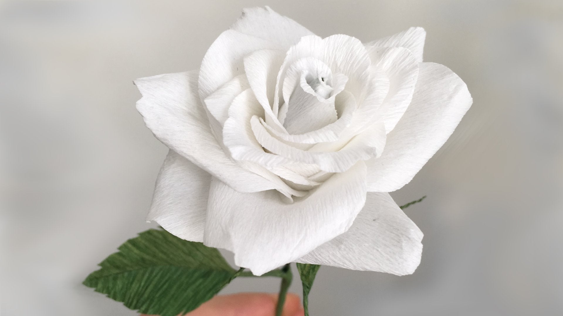 Create a Realistic Paper Rose
