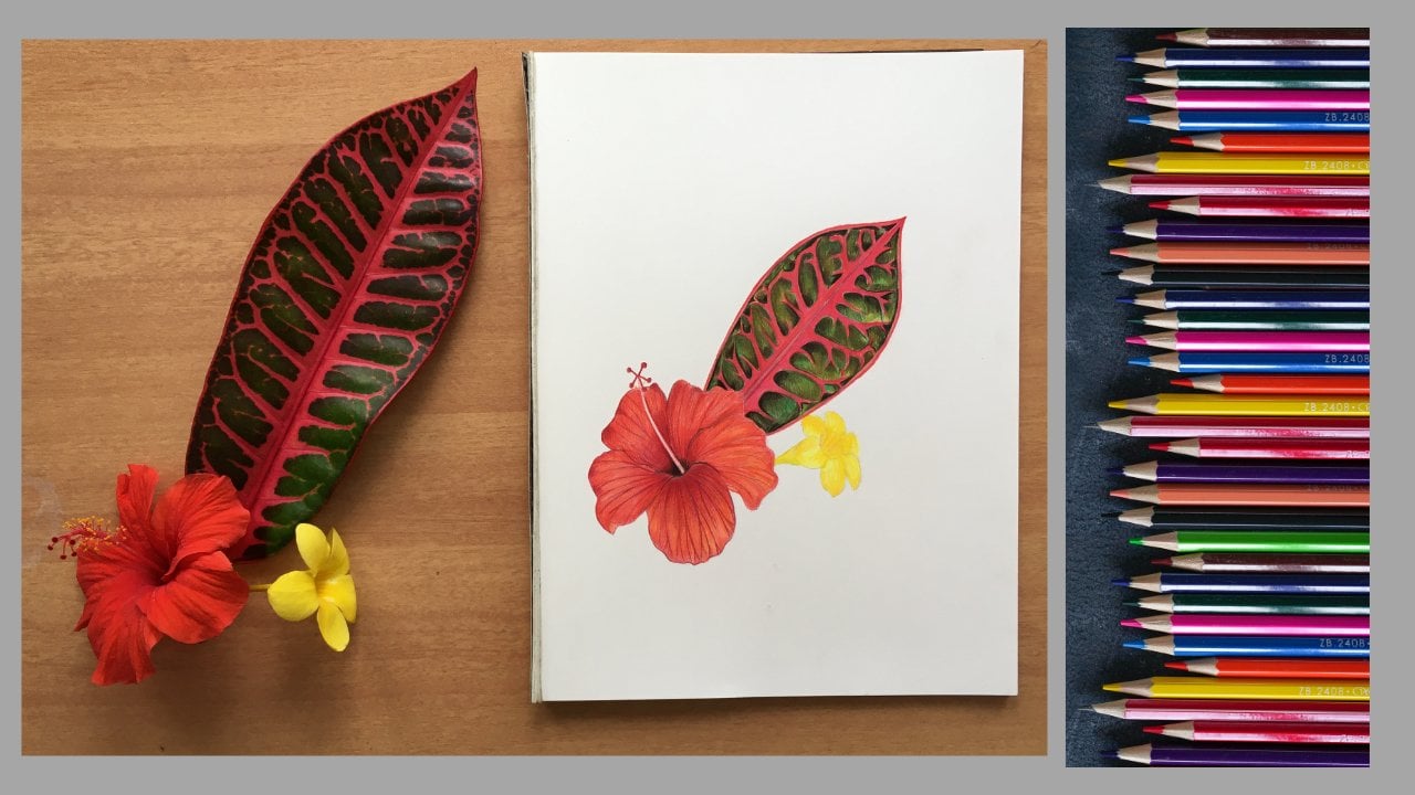 Learn to Draw Expressive Florals Using Colored Pencils