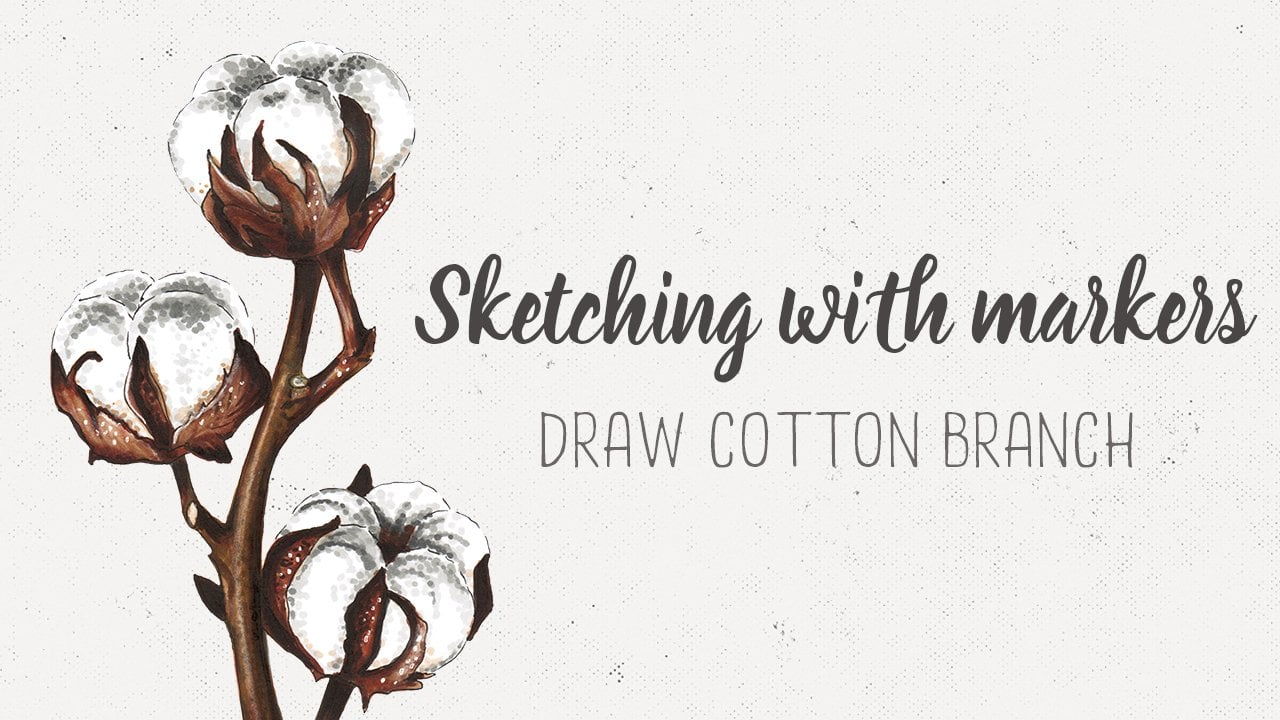 Sketching With Markers: Draw a Cotton Branch