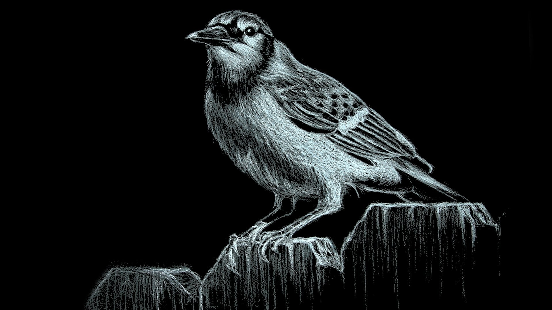 Drawing Fundamentals 4: Dynamic Shading on Toned Paper