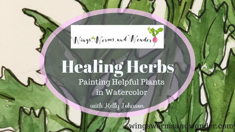 Healing Herbs: Painting Helpful Plants in Watercolor