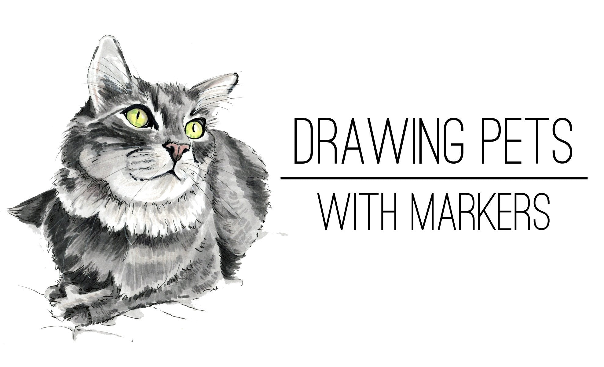 Drawing Pets With Markers
