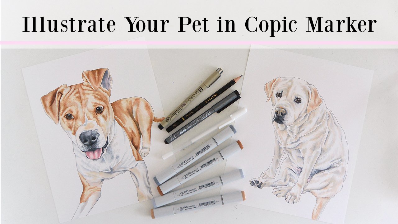 Illustrate Your Pet in Copic Marker
