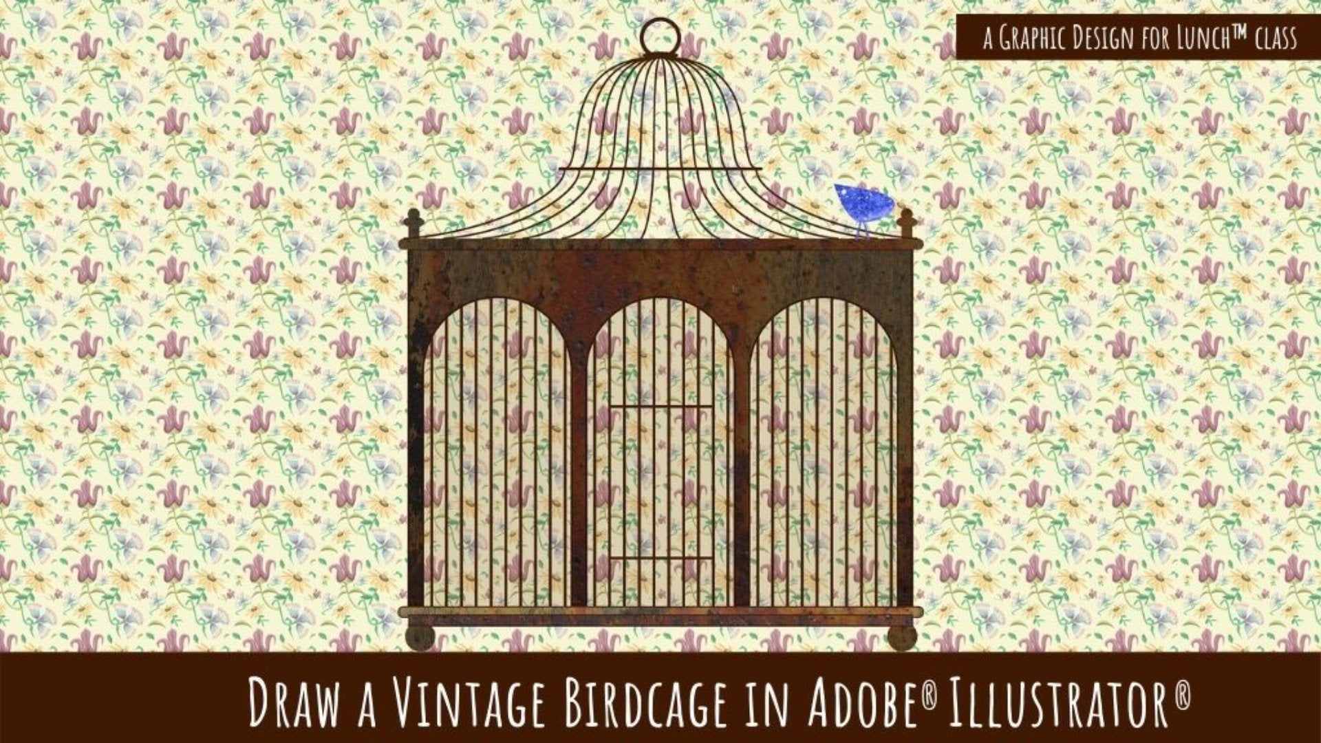 Draw a Vintage Birdcage in Adobe Illustrator - A Graphic Design for Lunch™ Class