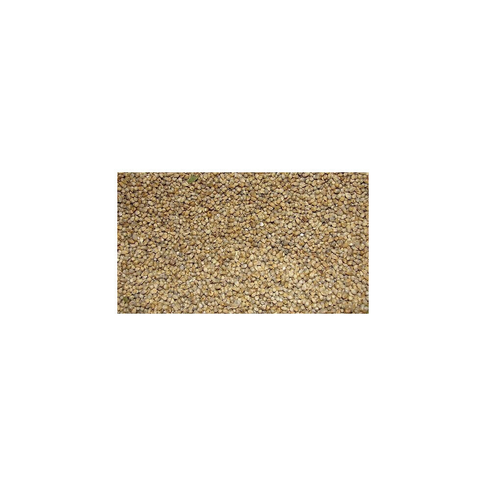 Jalpur - Whole Millet Seeds (Bajri Whole) - 200g