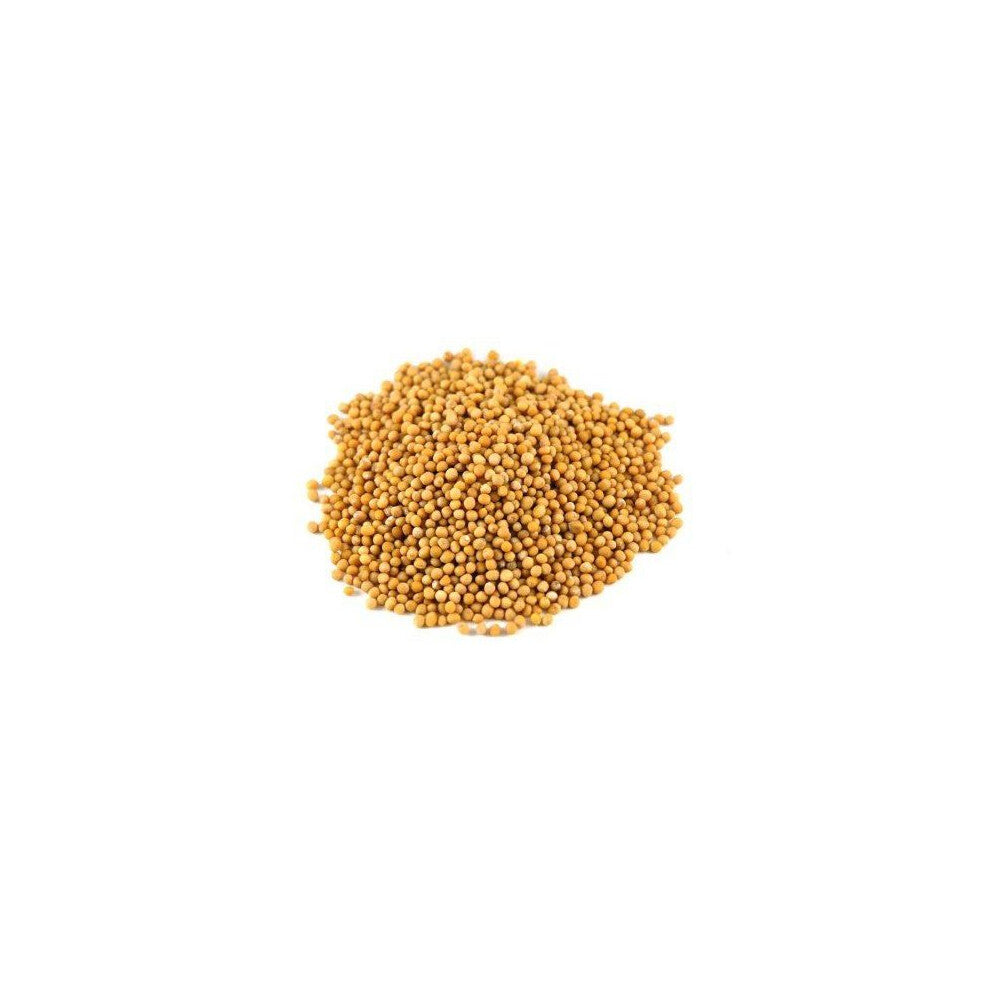 Yellow Mustard Seeds - 1kg