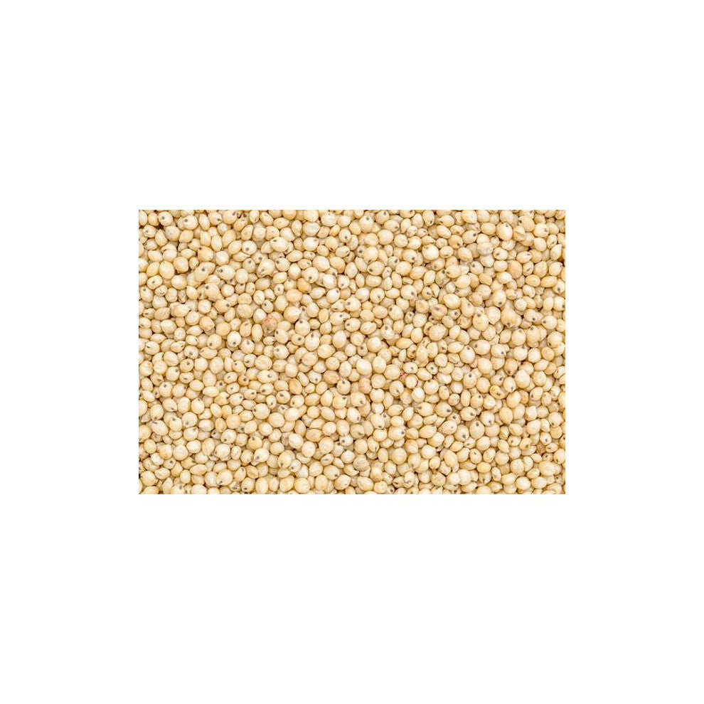 Jalpur - Whole Sorghum Seeds (Juwar Whole) - 1kg