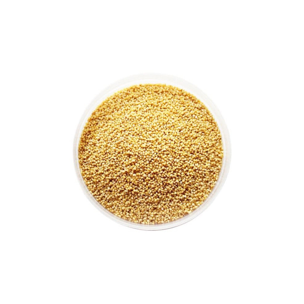 Foxtail Millet Seeds (Kodri) - 1.5kg
