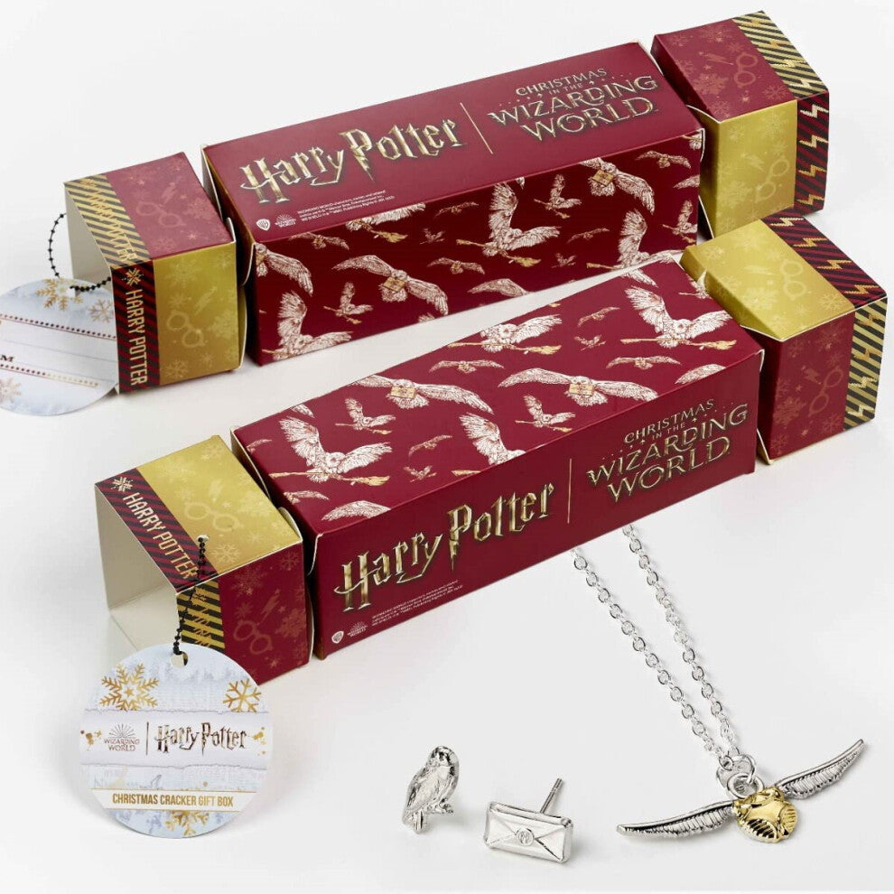 Christmas Gift Cracker Harry Potter Hedwig Owl Jewellery Present Box