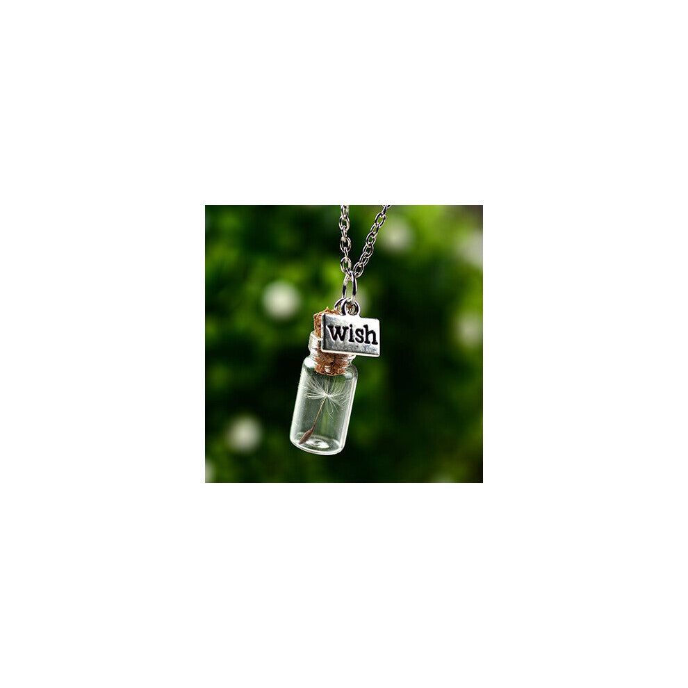 SIAN Natural Dandelion Seeds in Glass Dried Flower Pendant Necklace Wish Drifting Bottle Long Chain Necklaces Gift