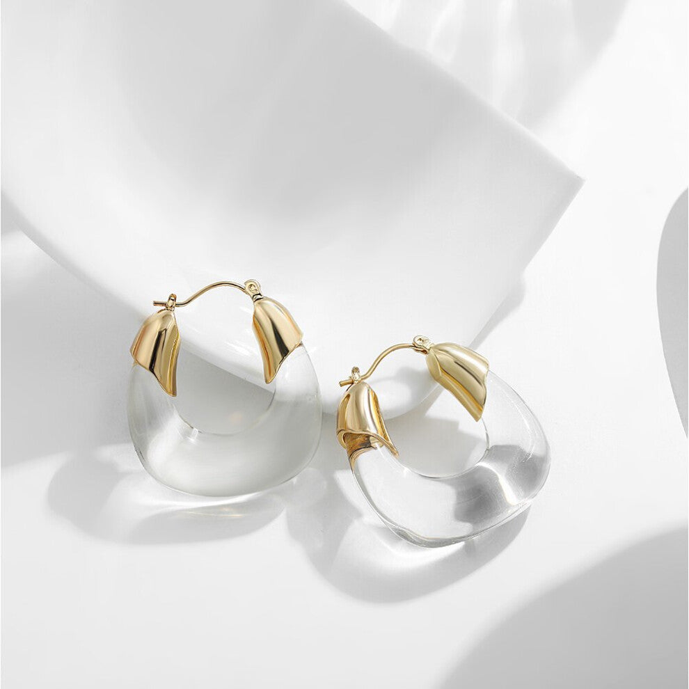 Transparent Resin Hoop Earrings for Women Girls Geometric Flower Acrylic Thick Ear Hoops Statement Party Jewelry