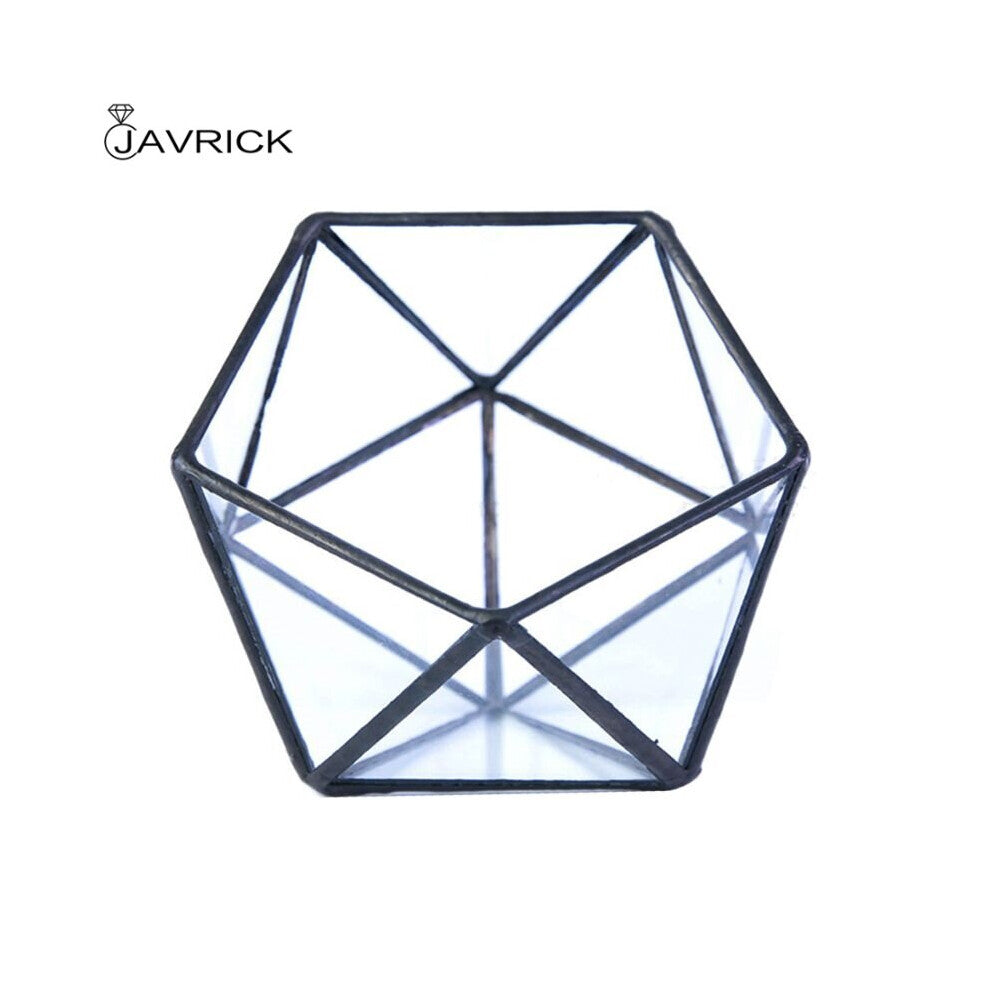 Glass Terrarium Storage Box Jewelry Holder,Glass Geometric Terrarium Tabletop Succulent Plant Box Planter Holder Case