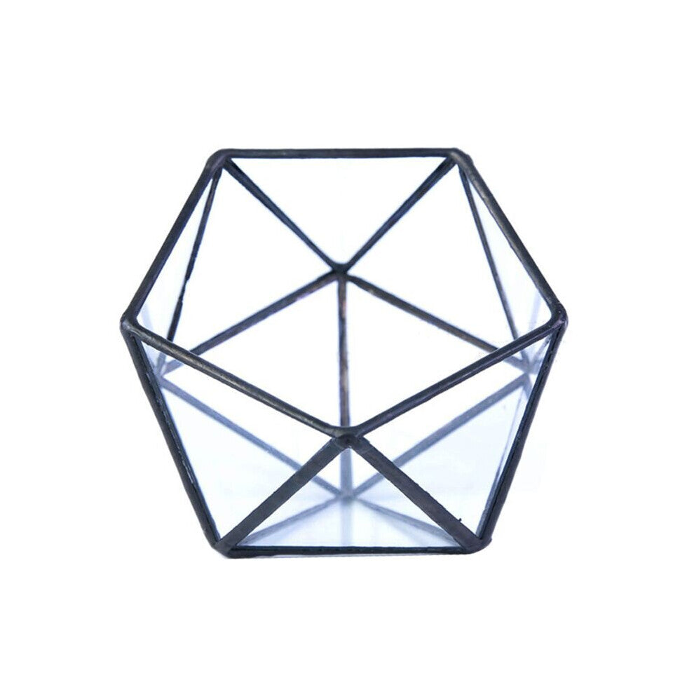 Glass Terrarium Storage Box Jewelry Holder,Glass Geometric Terrarium Tabletop Succulent Plant Box Planter Holder Case