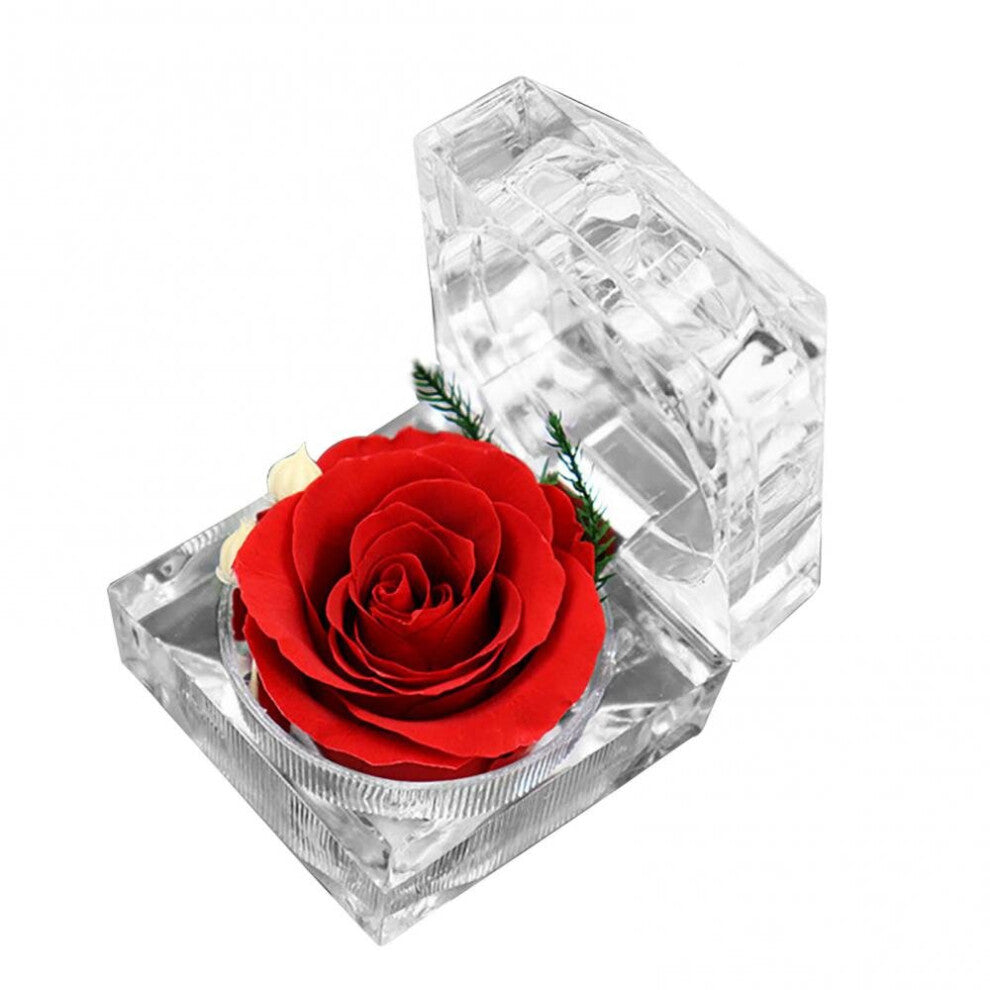 Display Holder Jewelry Ring Box Preserved Rose Flower Wedding Engagement Gift