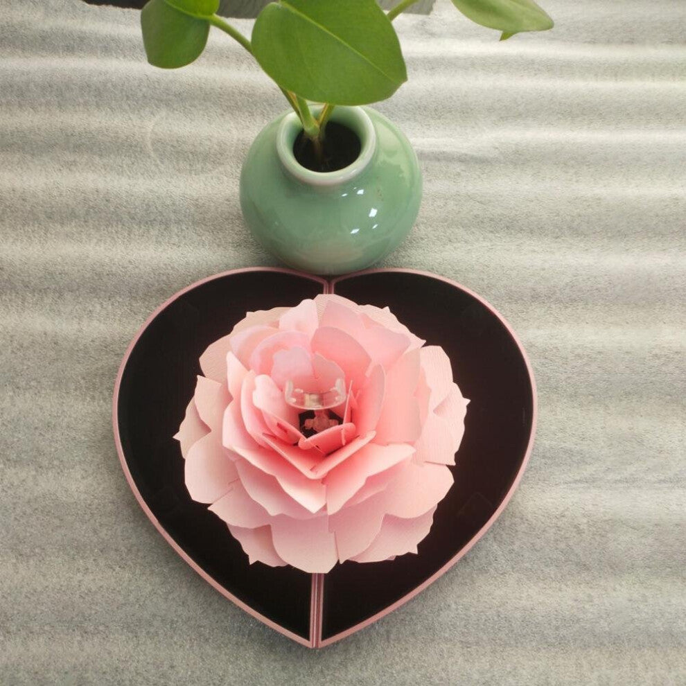 Lightweight Jewelry Box Jewellery Display Storage Box for Engagement