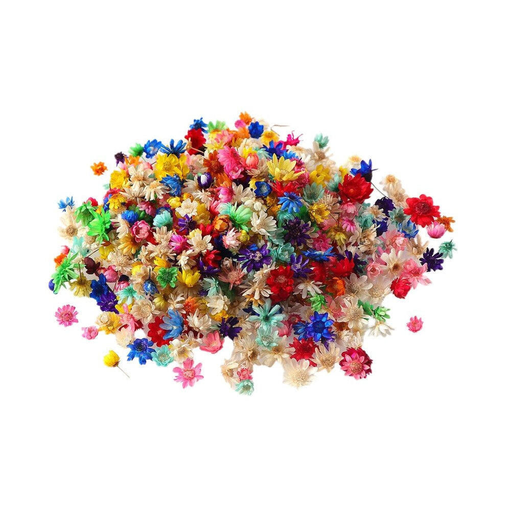 1 Box Dried Flowers UV Resin Decorative Natural Dry Flower Stickers 3D Beauty Decal Epoxy Mold DIY Filling Making Craft