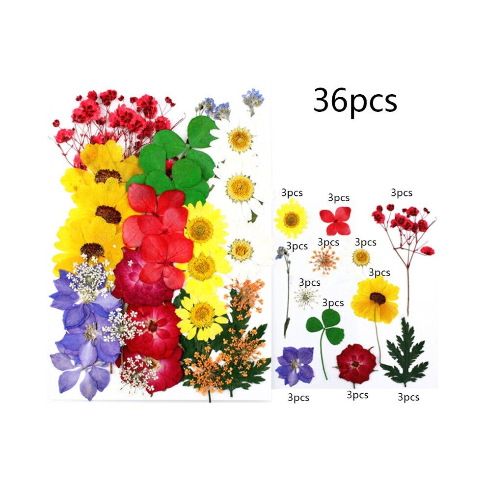 (A White) 1 Bag UV Dried Flowers Natural Decorative Resin Flower Stickers 3D Dry Beauty Decal Epoxy Mold DIY Jewelry Supply