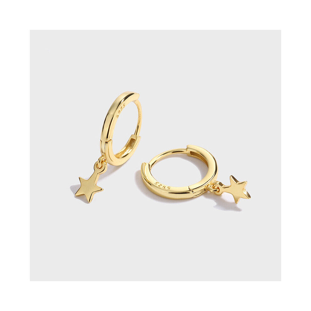 Sterling silver tassel earrings niche glossy star temperament all-match ear buckle