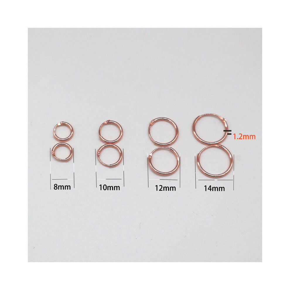 Rose Small Ear Bone Hoop Earrings For Women 925 Sterling Silver Material Mini Round Circle Earrings Hoops