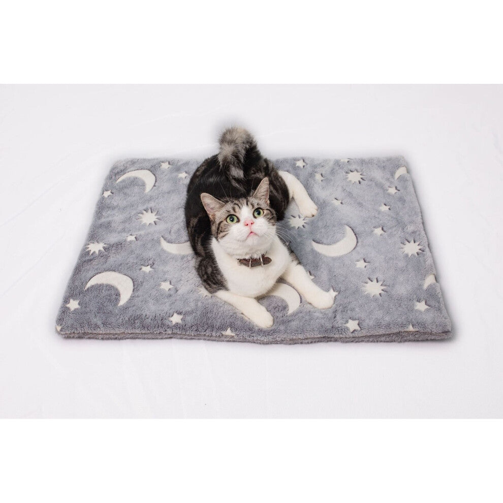 Luminous Mat Pet Dog Cat Luminous Autumn and Winter Thicken Warm Blanket Cushion
