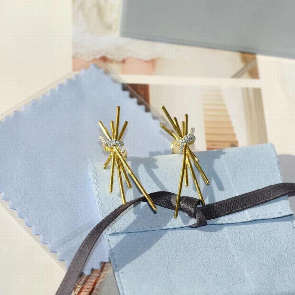 High-quality pasta earrings for women irregular light diamond 925 sterling silver ear studs art jewelry