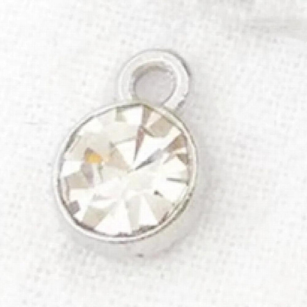 12 Birthstone Teacher Plant Seeds That Grow Forever Charm Keychain-- Teacher Christmas Birthday Gift Jewelry