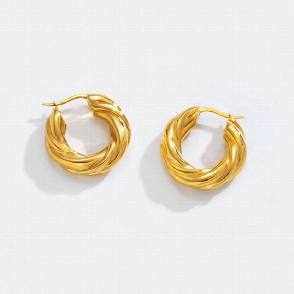 INS Punk Stainless Steel Twisted Round Hollow Hoop Earrings for Women Metal Plated Hoops Waterproof Jewelry