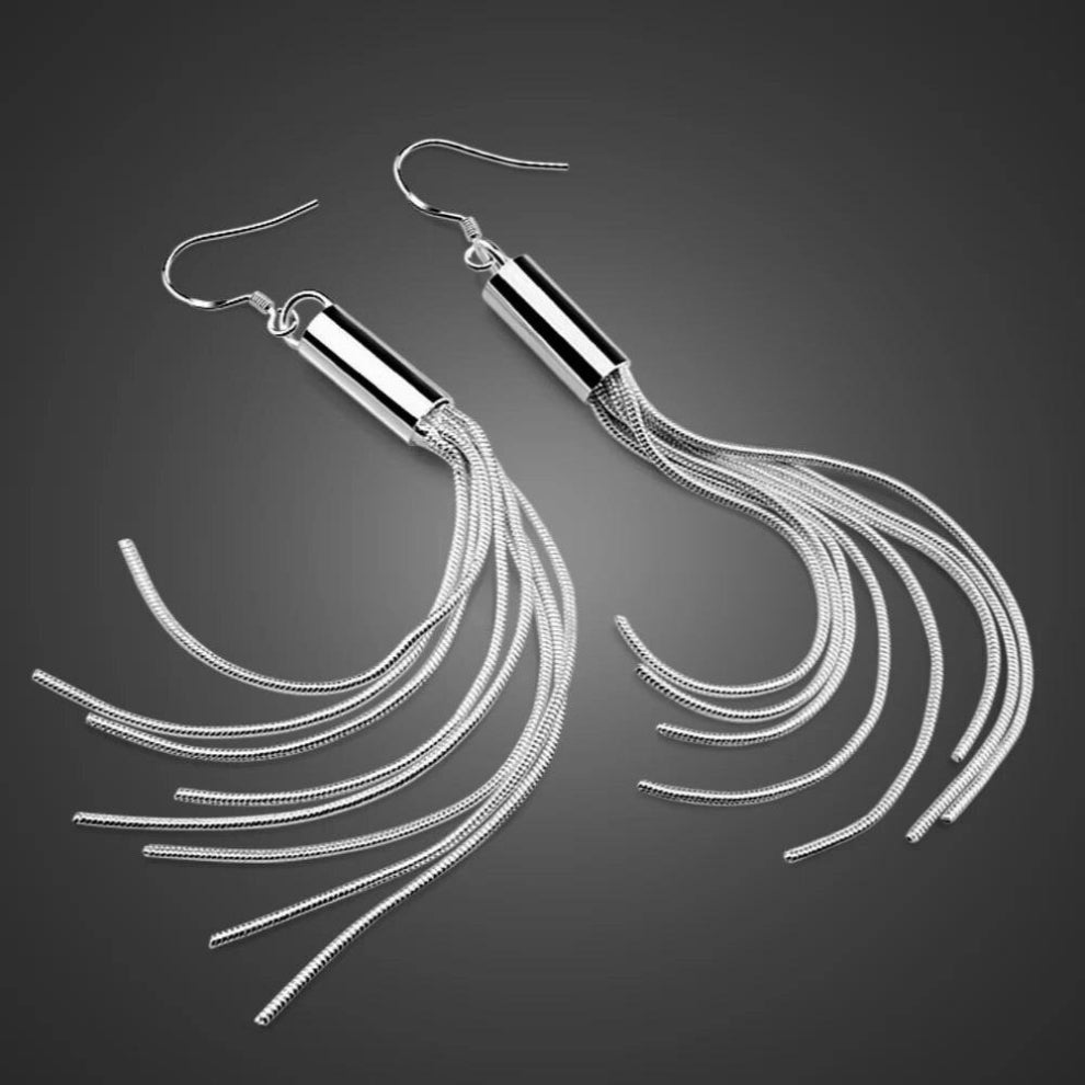 silver long tassel earrings.Charming lady silver jewelry.Solid 925 sterling silver women earrings.Christmas