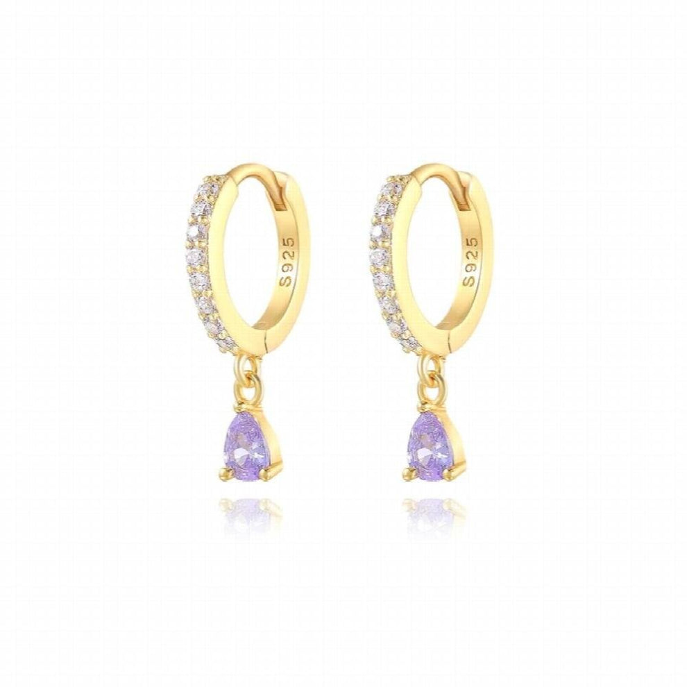 Purple Zircon Ear Hoops 925 Sterling Silver Round Hoop Earrings for Women- Men Small Piercing Huggie Earring Jewelry Gift