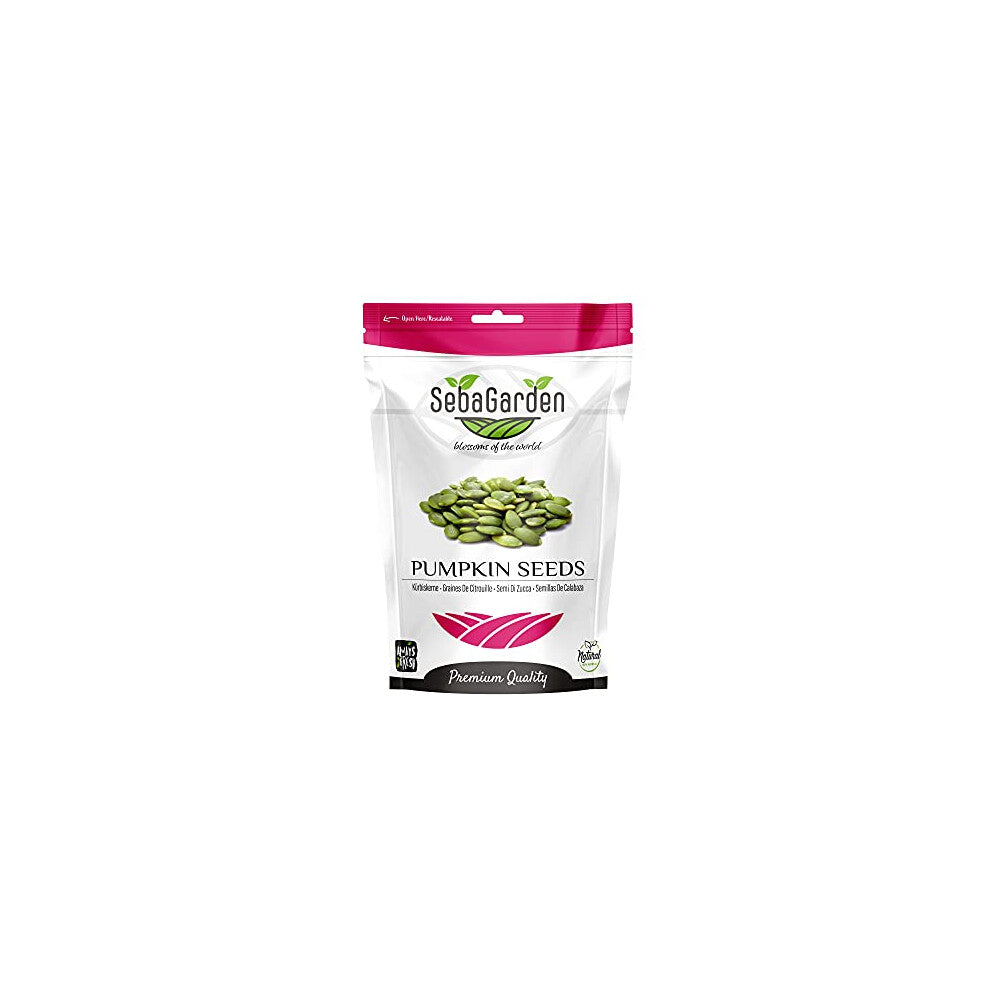 Pumpkin Seeds 1000g Pumpkin seeds Grade AA Raw Source of Protein GWS (Grown Without Shell), High Fiber Content, Source of Iron, Non GMO