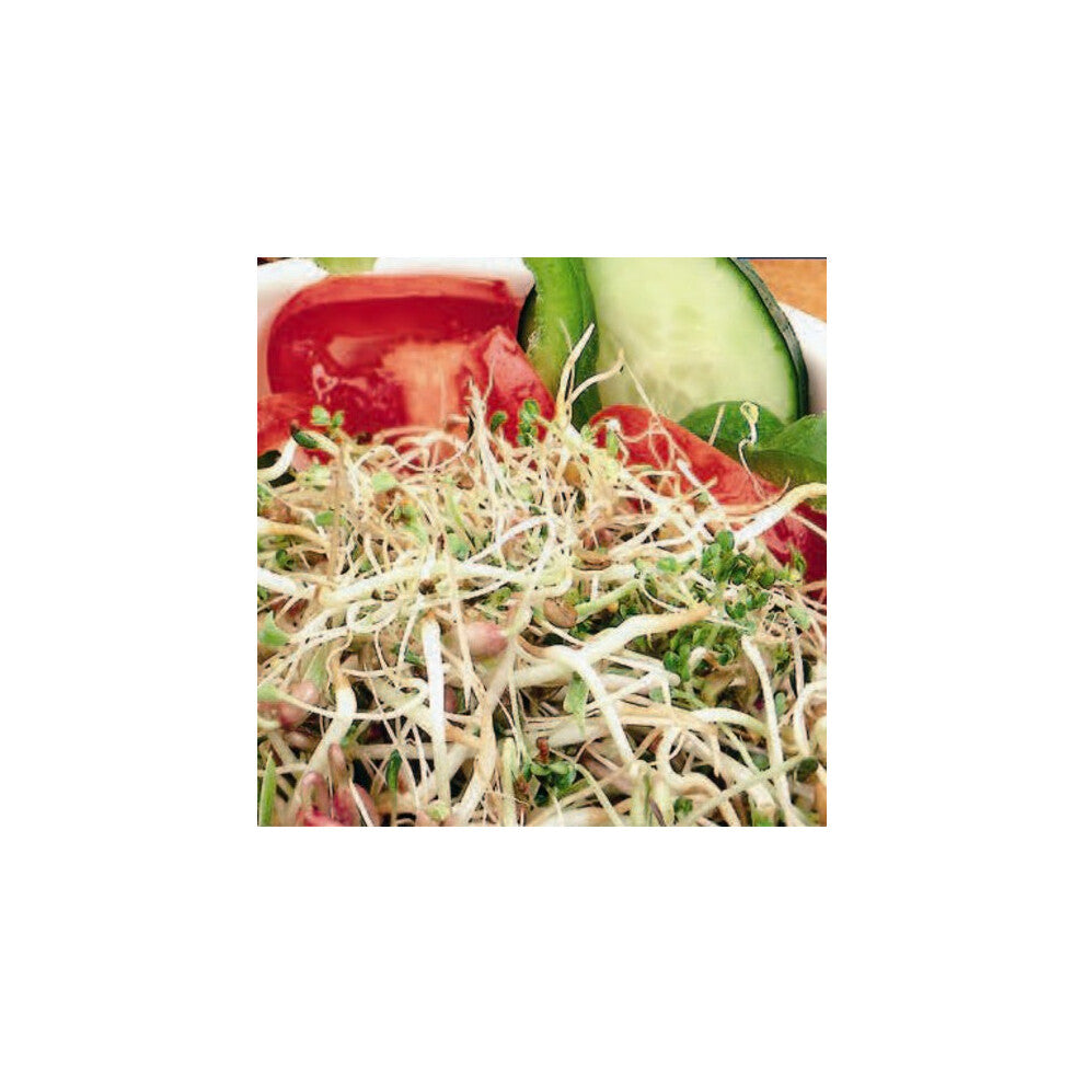 Sprouting Seeds. Mixed