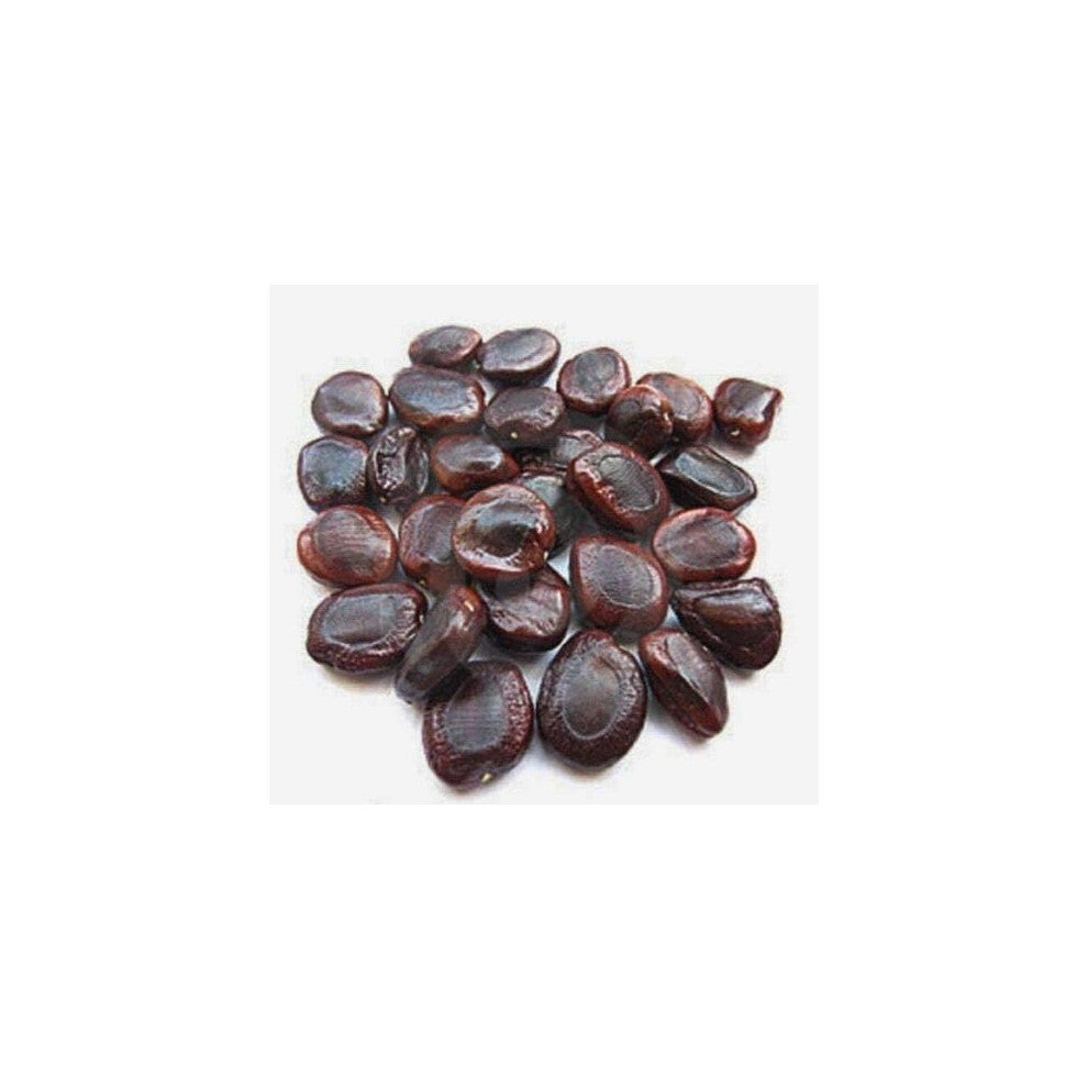 (500g) Tamarind Seeds Herbs and Spices Seasoning Indian