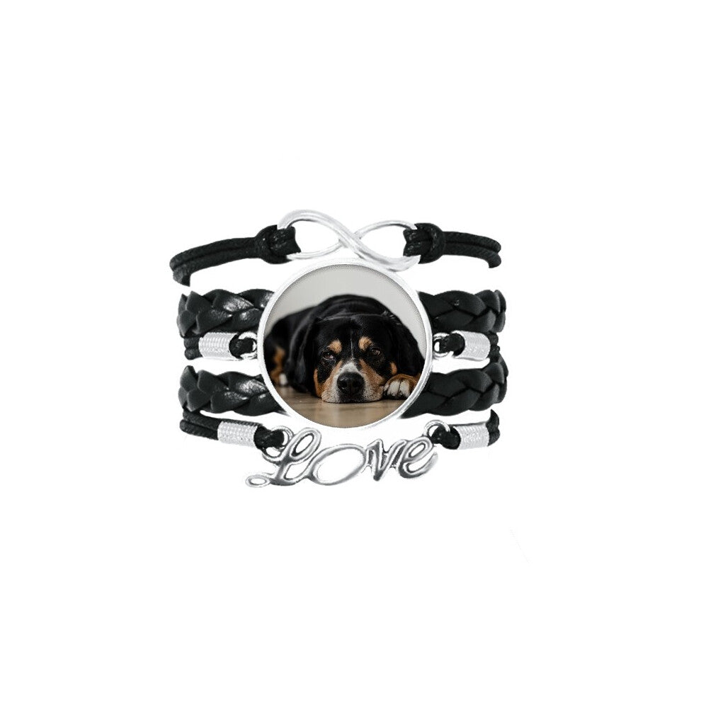 dog pet animal photograph floor picture bracelet love accessory twisted leather knitting  wristband