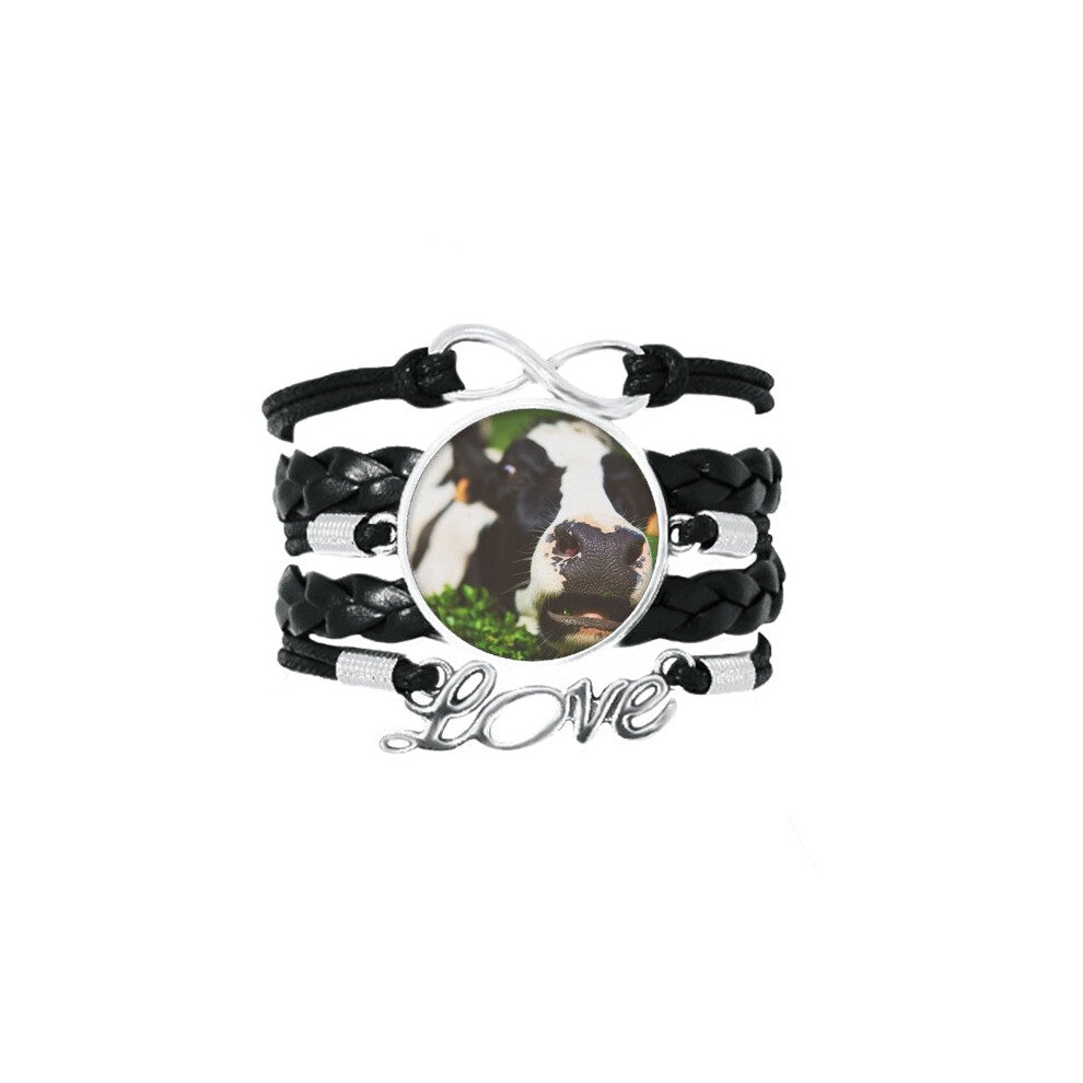 pcture m animal cow bracelet love accessory twisted leather knitting  wristband