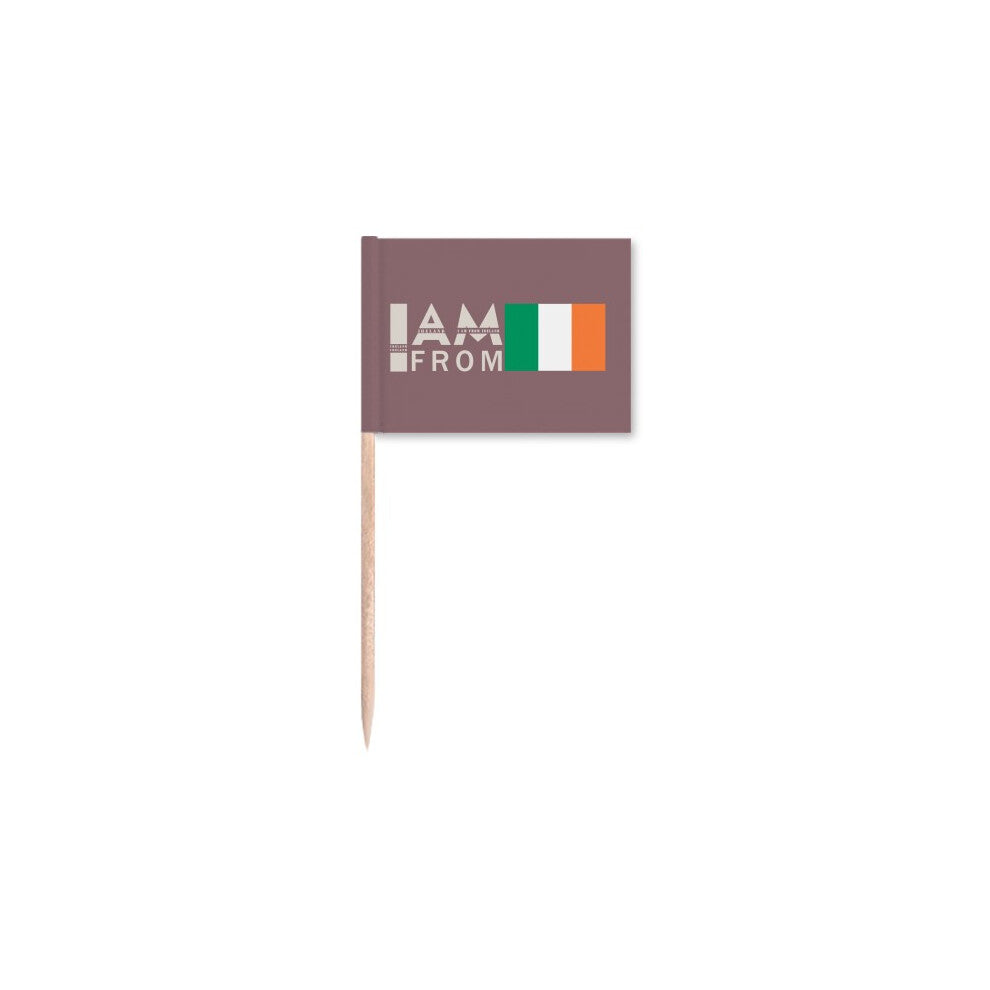 I Am From Ireland Art Deco  Fashion Toothpick Flags Marker Topper Party Decoration